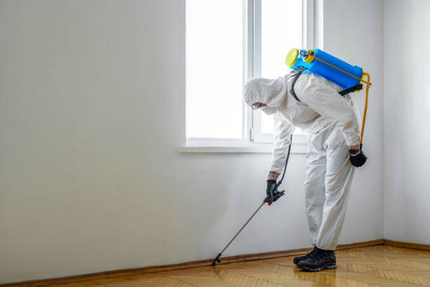 Best Bed Bug Extermination  in Woodward, OK