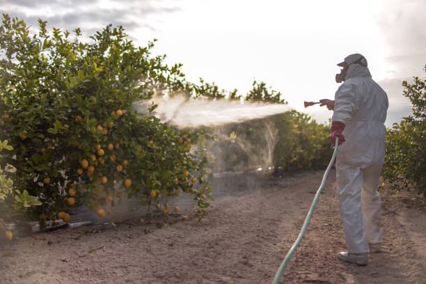 Trusted Woodward, OK Pest Control Experts