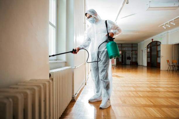 Best Mosquito Control Services  in Woodward, OK