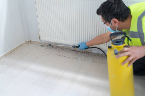 Best Pest Inspection Near Me  in Woodward, OK